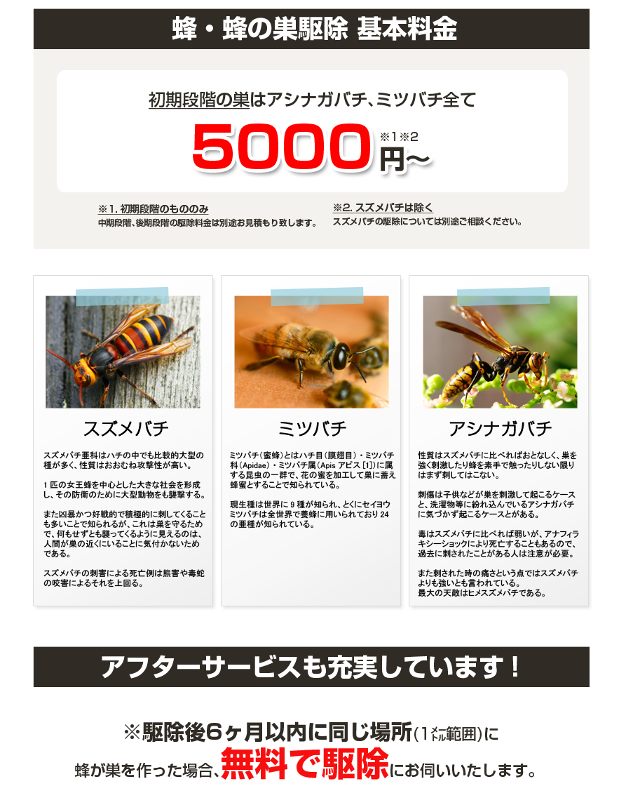 蜂の巣駆除の基本料金は、5,000円からになります。別途お見積致しますので、お気軽に株式会社山恵にお問合せ下さい。