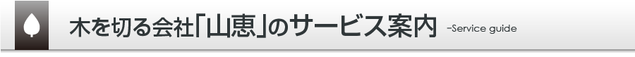 木を切る会社「株式会社山恵」のサービス案内（伐採・蜂駆除）